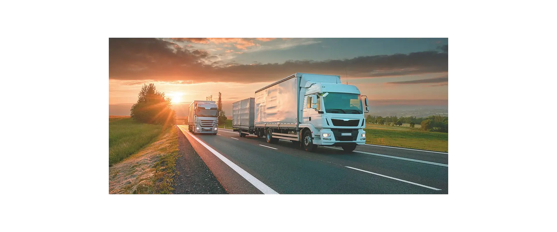 Managing the implementation <span> of a new TMS</span>